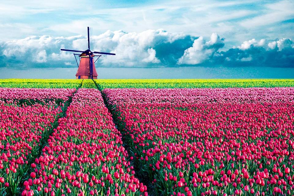 GUIA HOLANDA. PASO A PASO COMO MUDARTE Y ENCONTRAR TRABAJO